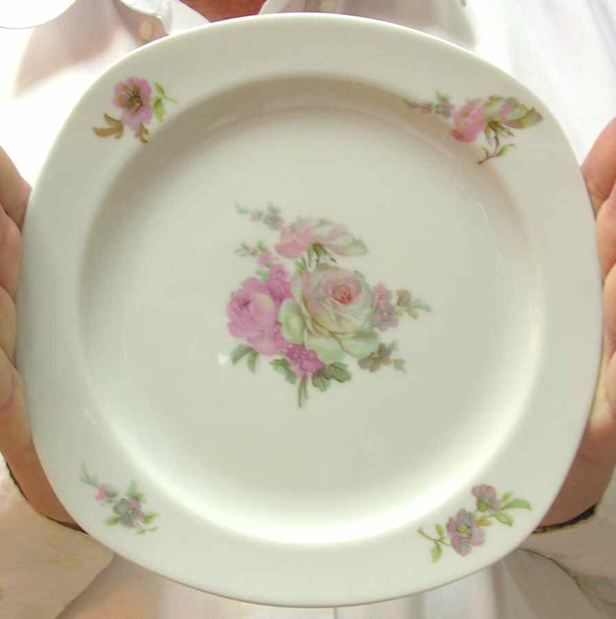 WIG1100 Dinner Plate by Winterling - Bavaria-1