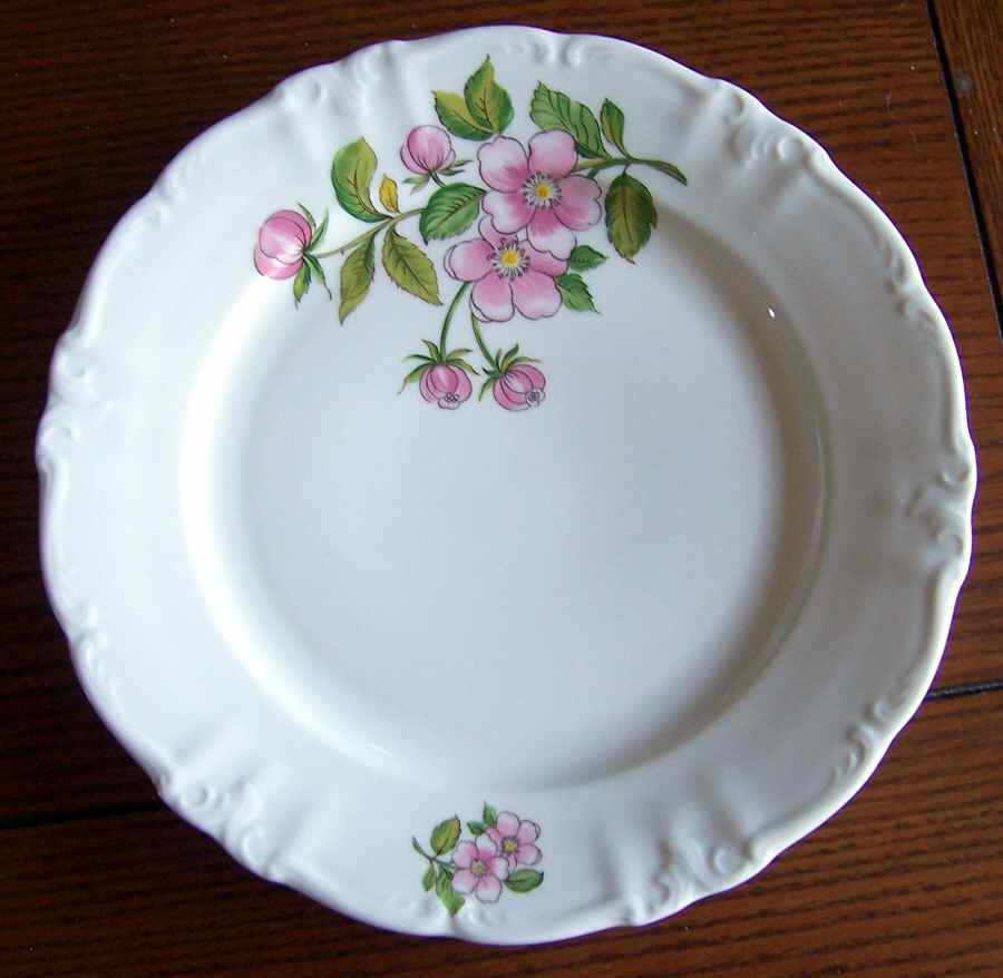 WIG1102 Dinner Plate by Winterling - Bavaria-1
