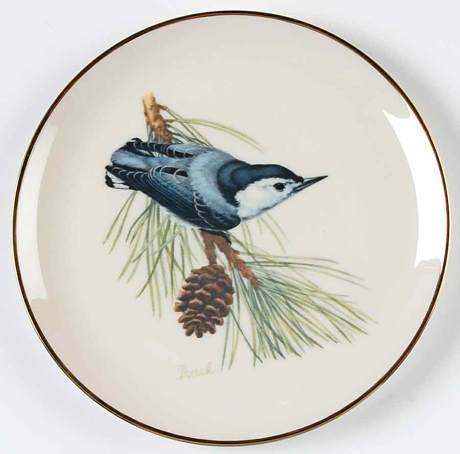 WFE10 Salad Plate by National Wildlife Federation-1