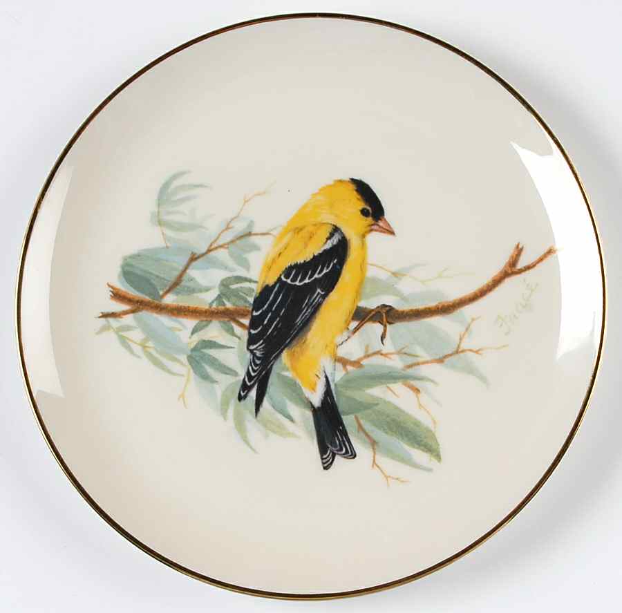 WFE10 Salad Plate by National Wildlife Federation-1