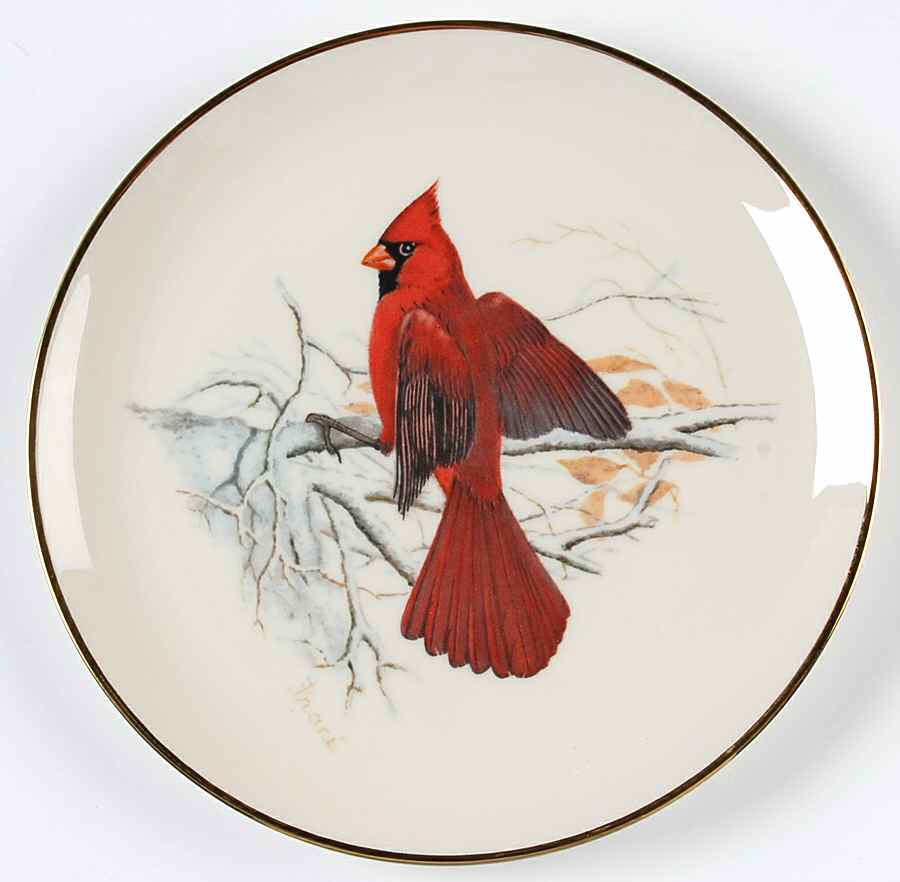 WFE10 Salad Plate by National Wildlife Federation-1