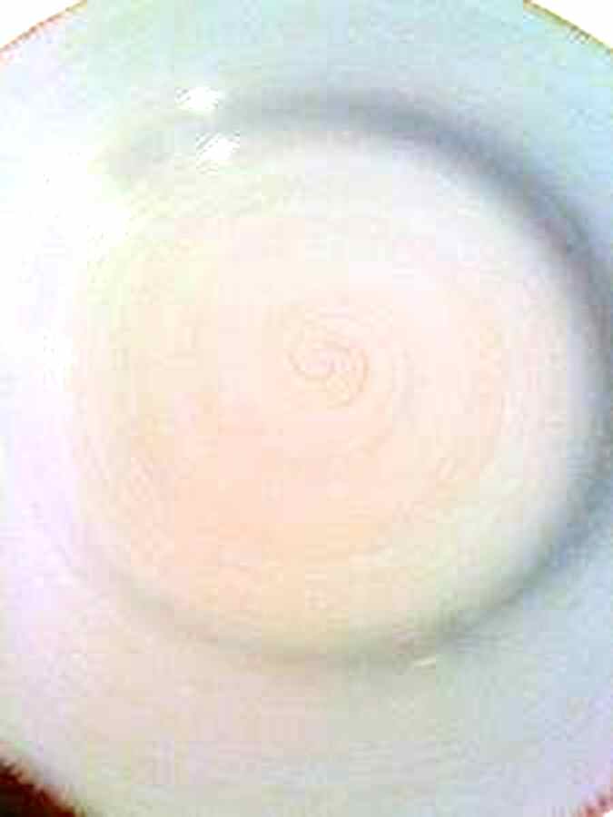 WSO87 Dinner Plate by Williams-Sonoma-1