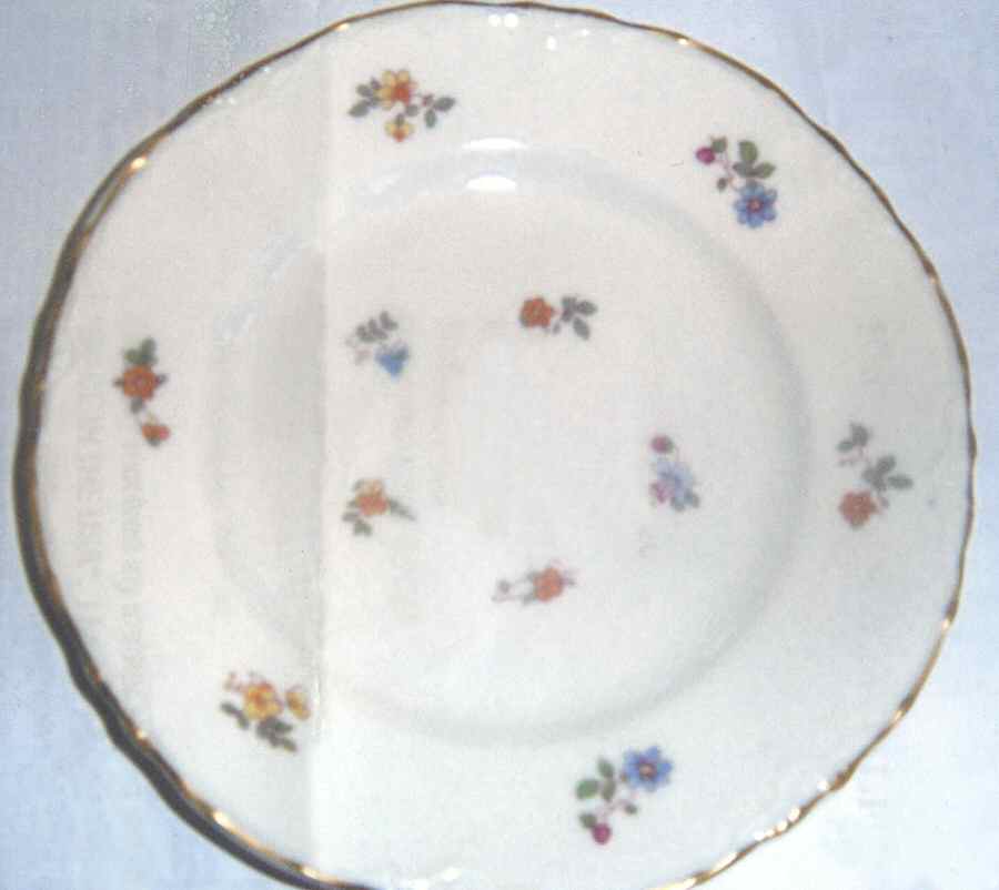 WAR197 Dinner Plate by Warwick-1