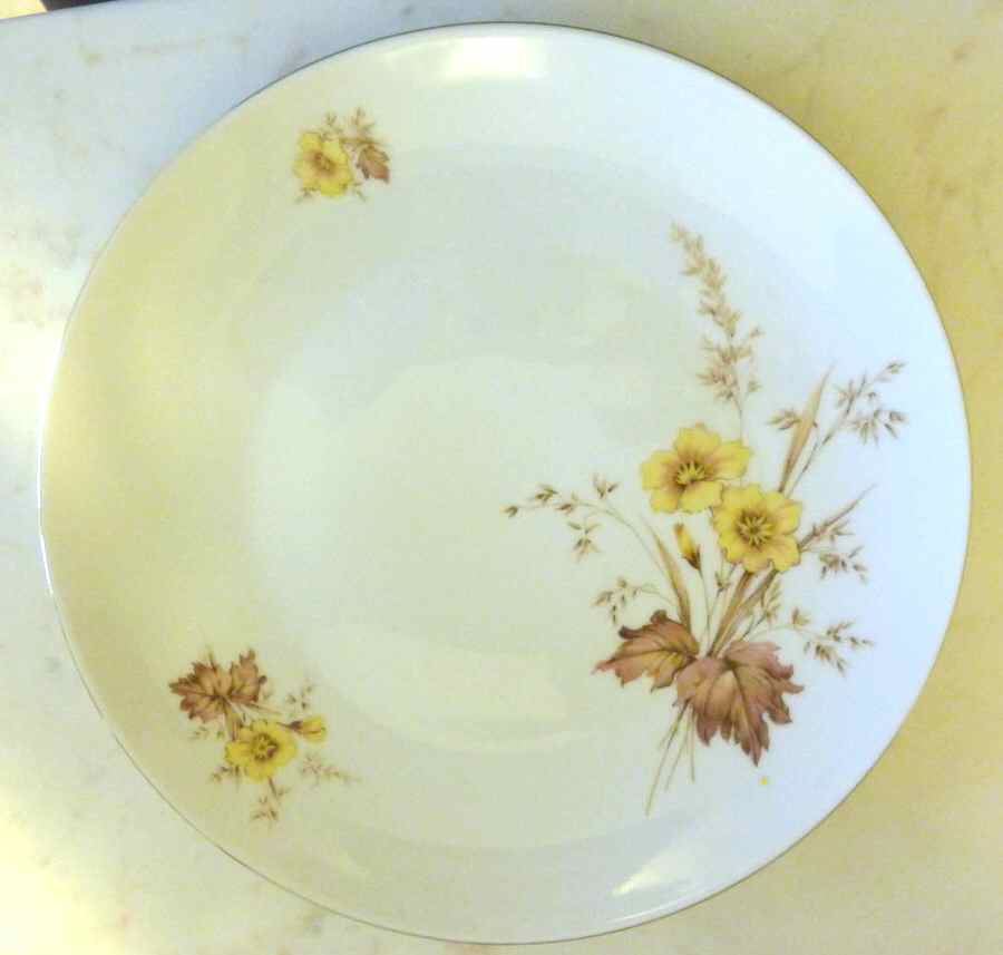 WIG1115 Dinner Plate by Winterling - Bavaria-1