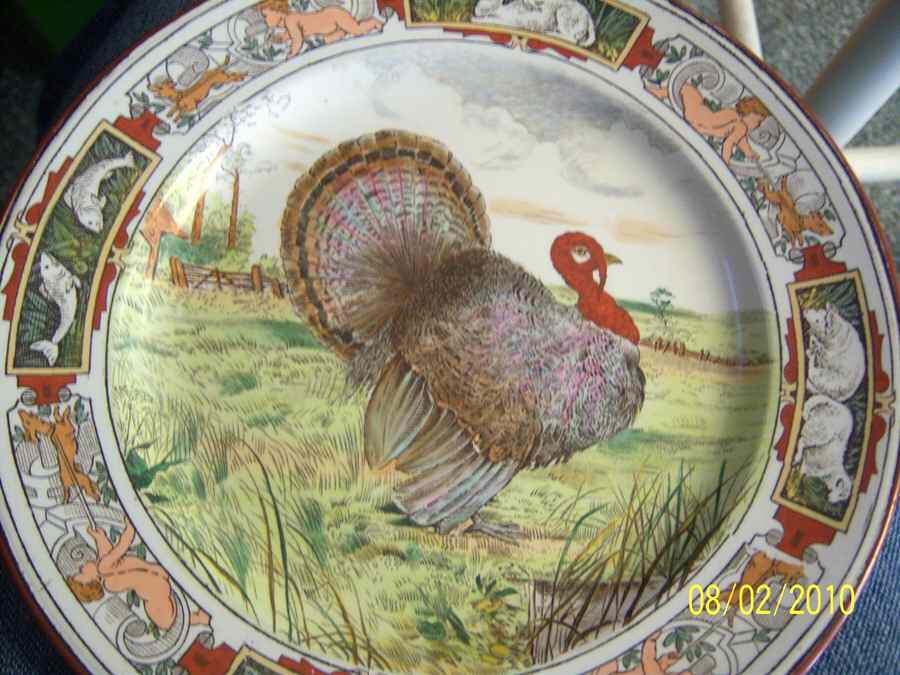 A4262 Dinner Plate by Wedgwood-1