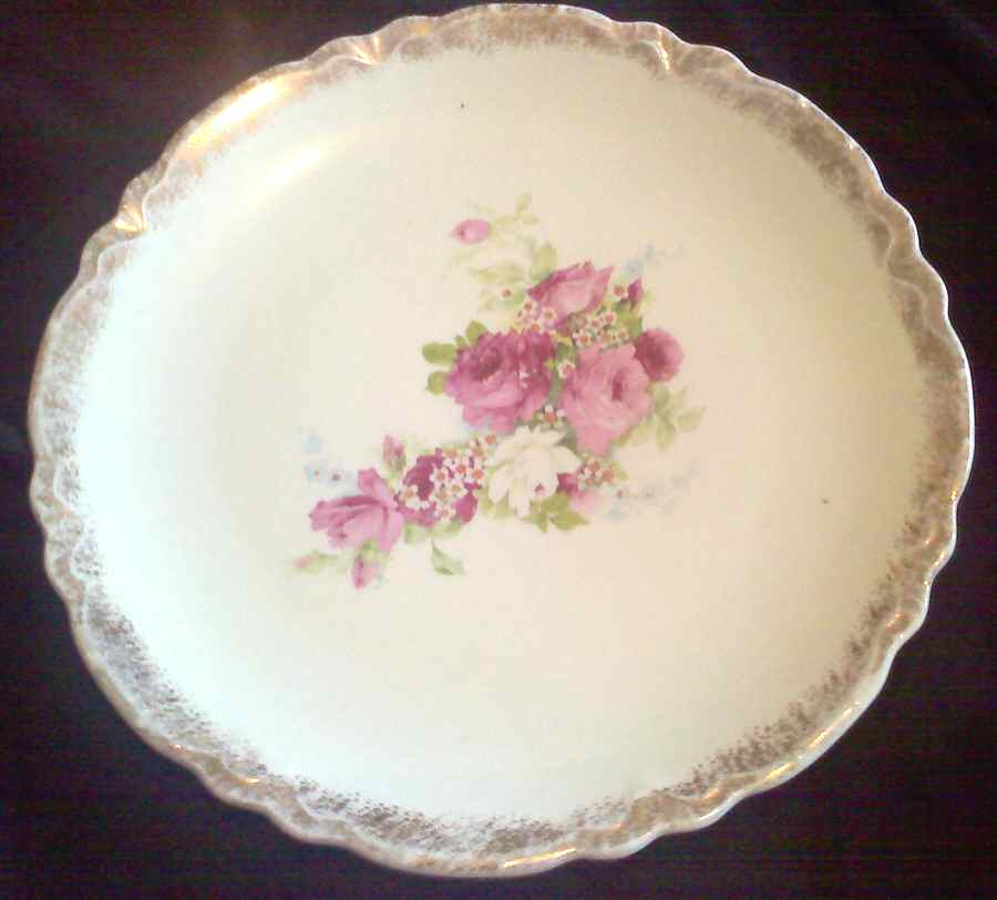 WLS26 Dinner Plate by Wellsville-1