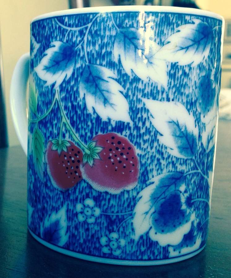 WSO88 Mug by Williams-Sonoma-1