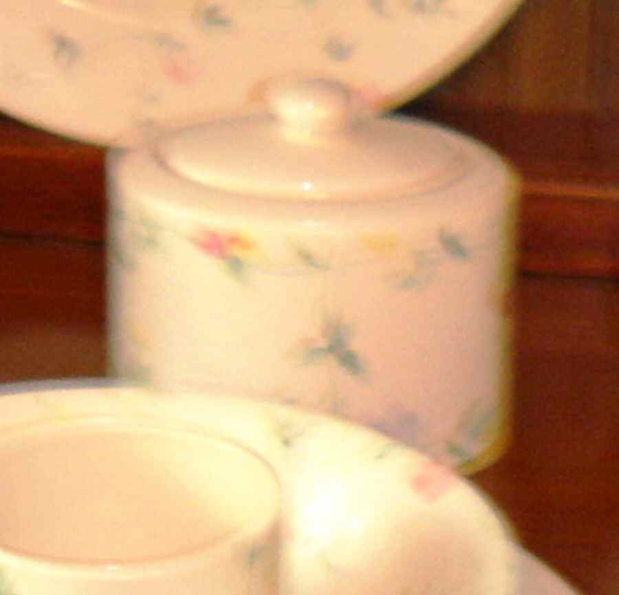 WOO176 Sugar Bowl & Lid by Wood & Sons-1