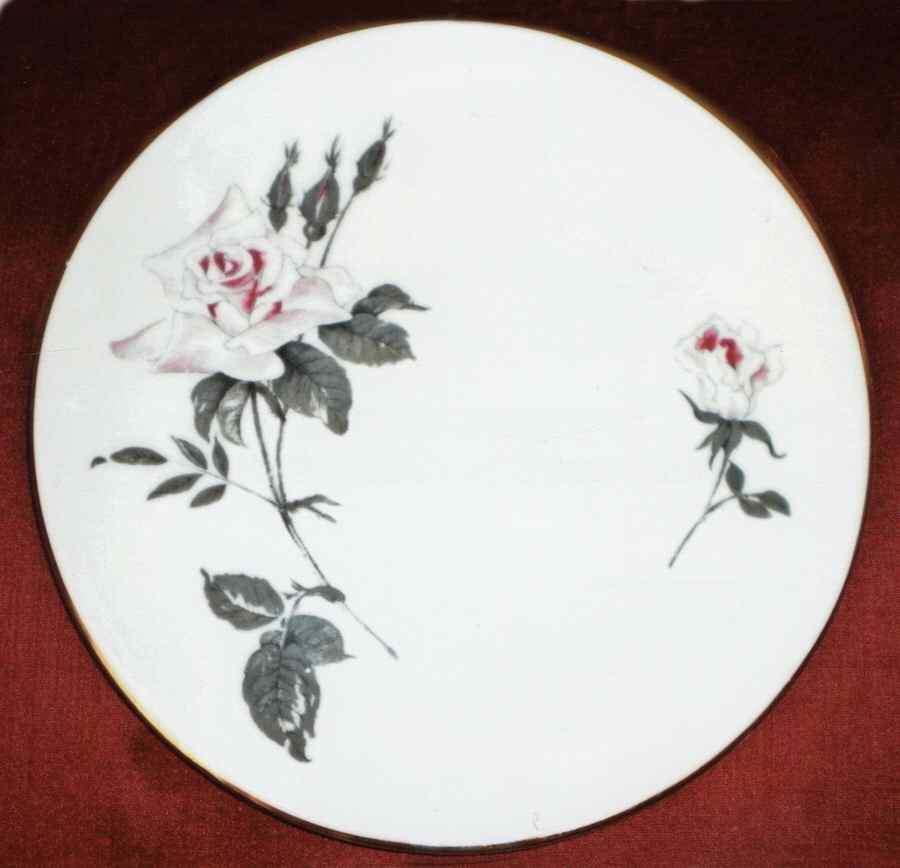 WID26 Dinner Plate by Windsor (England)-1