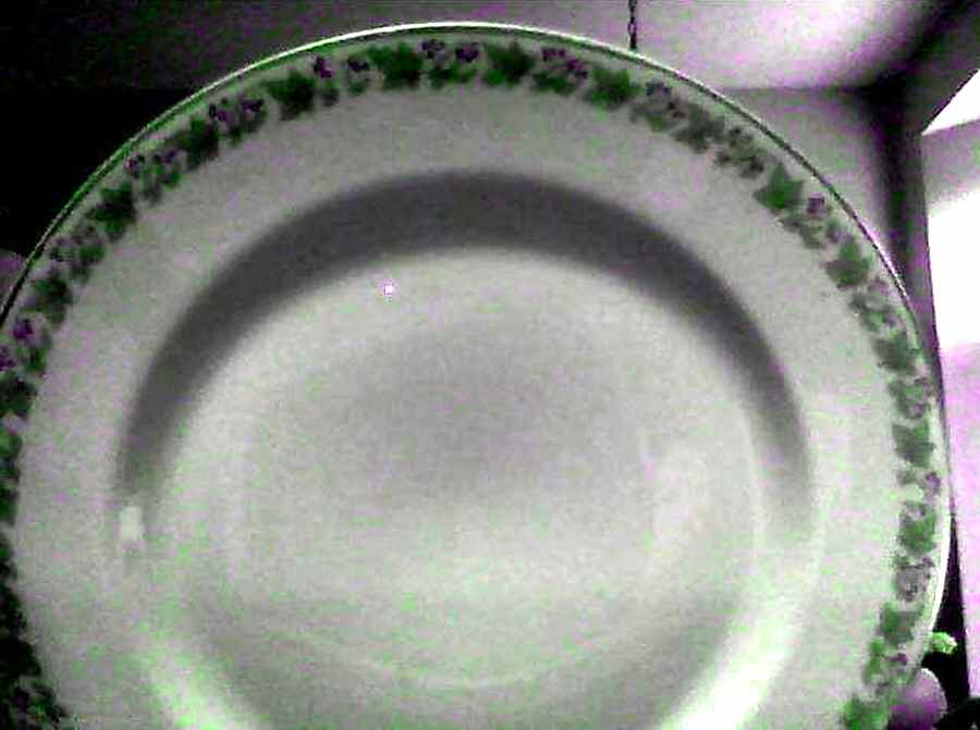 WAR202 Dinner Plate by Warwick-1