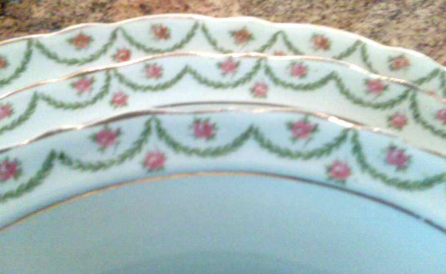 NX3245-5 Dinner Plate by Warwick-1