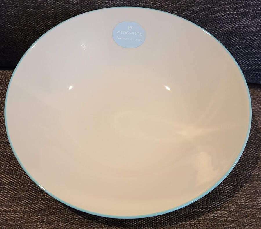 Nature's Canvas Limestone (White) 8" Individual Pasta Bowl by Wedgwood-1