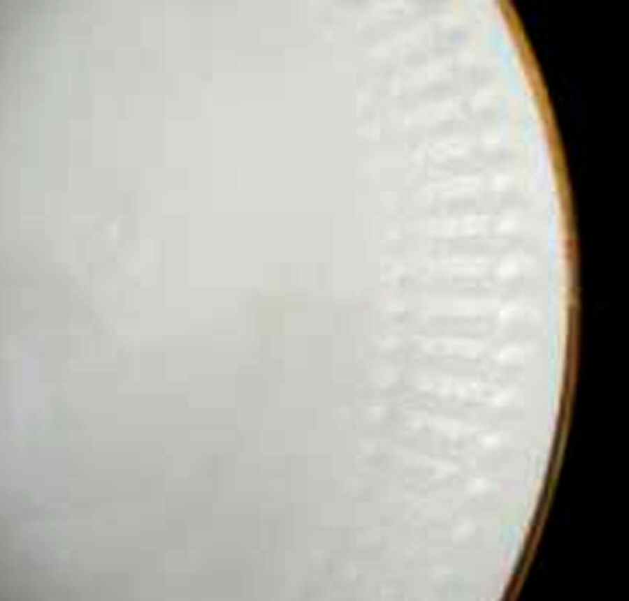 WIG749 Dinner Plate by Winterling - Bavaria-1