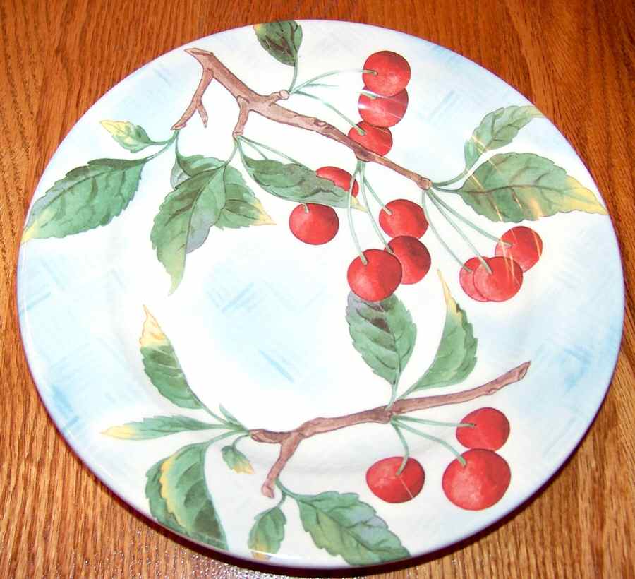 WSO94 Salad Plate by Williams-Sonoma-1