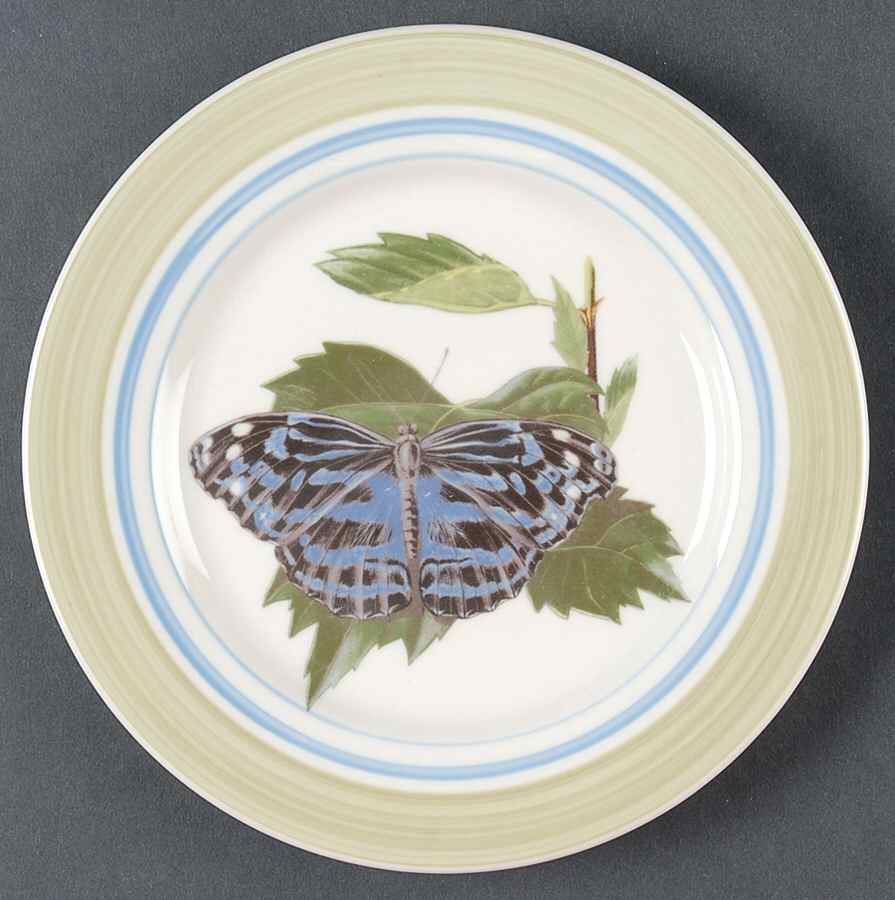 WFE12 Salad Plate by National Wildlife Federation-1