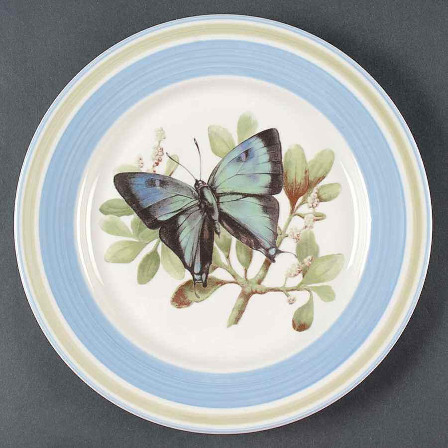 WFE12 Dinner Plate by National Wildlife Federation-1