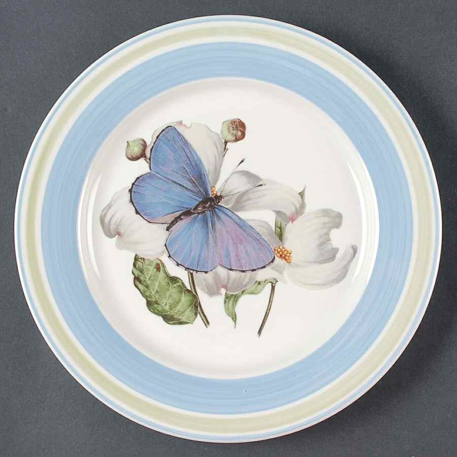 WFE12 Dinner Plate by National Wildlife Federation-1