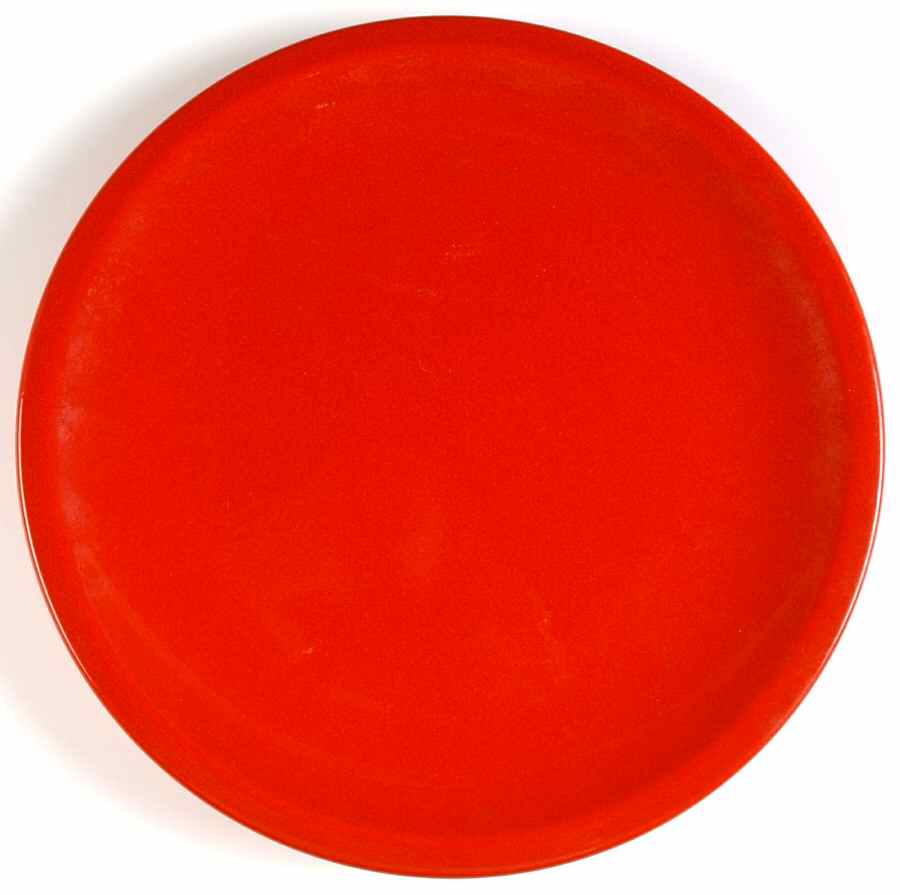 WAE46 Dinner Plate by Waechtersbach-1