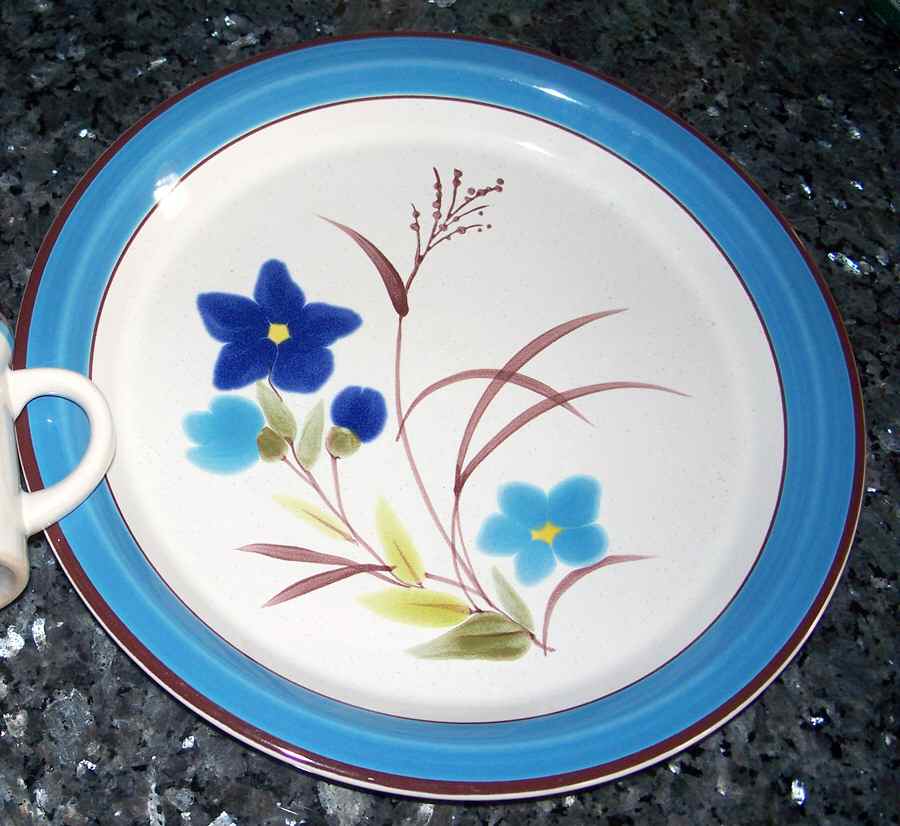 Evening Dinner Plate by Wellin-1