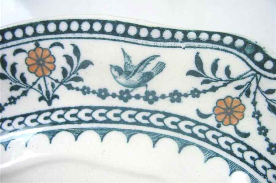 A7117 Dinner Plate by Wedgwood-1