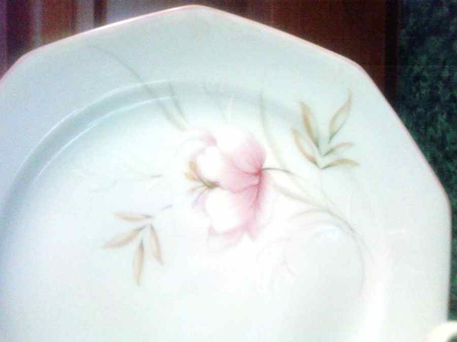 WIG1149 Dinner Plate by Winterling - Bavaria-1