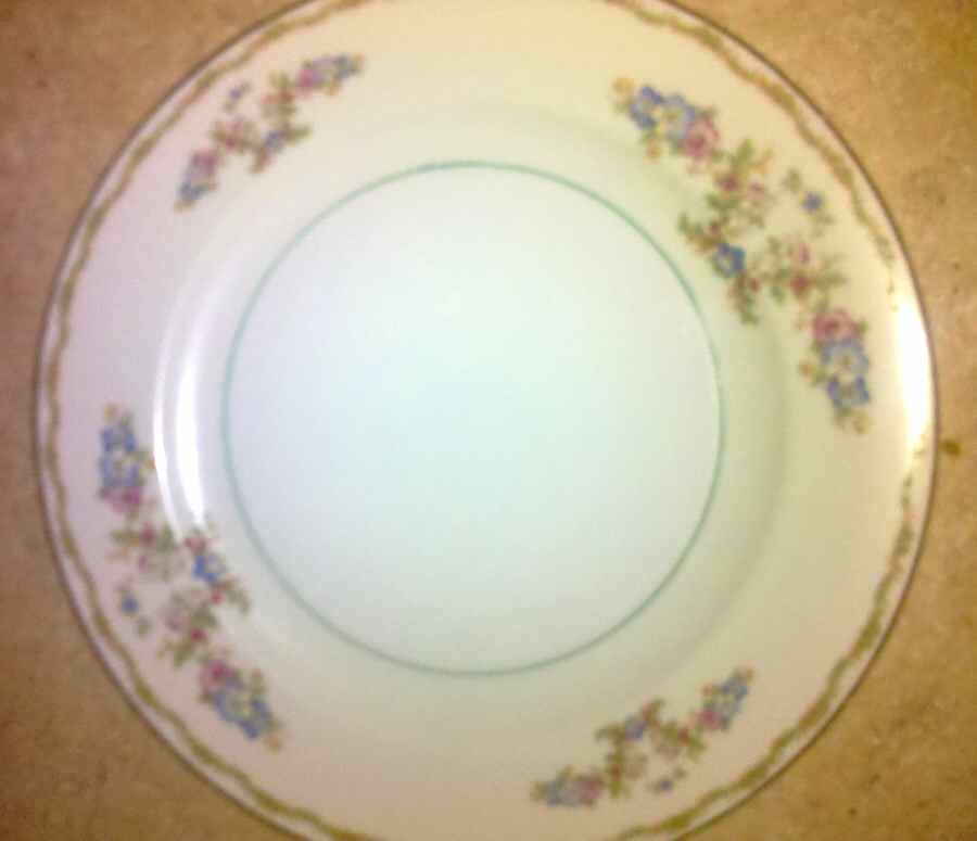 WIG1152 Dinner Plate by Winterling - Bavaria-1