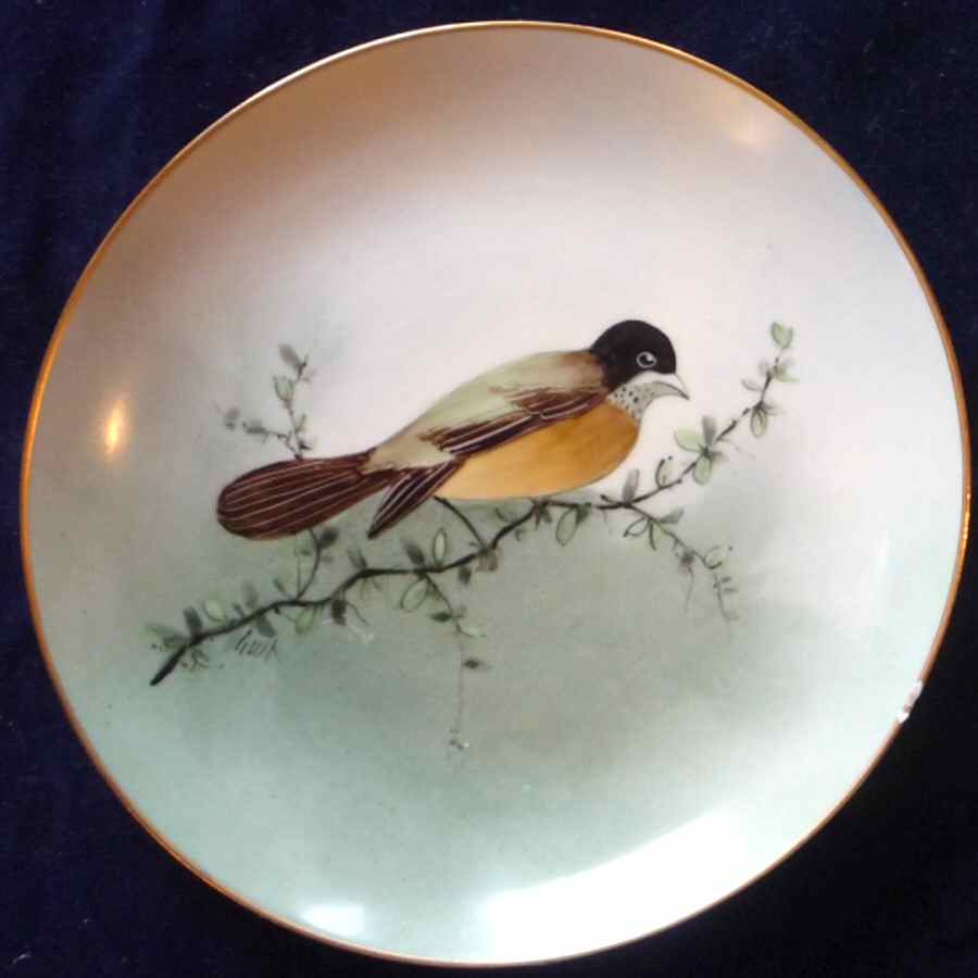 W5Ew5e1 Salad Plate by Welsley China-1