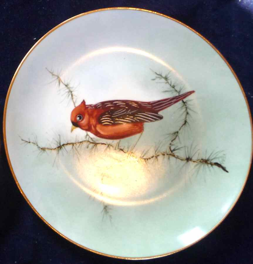 W5Ew5e1 Salad Plate by Welsley China-1