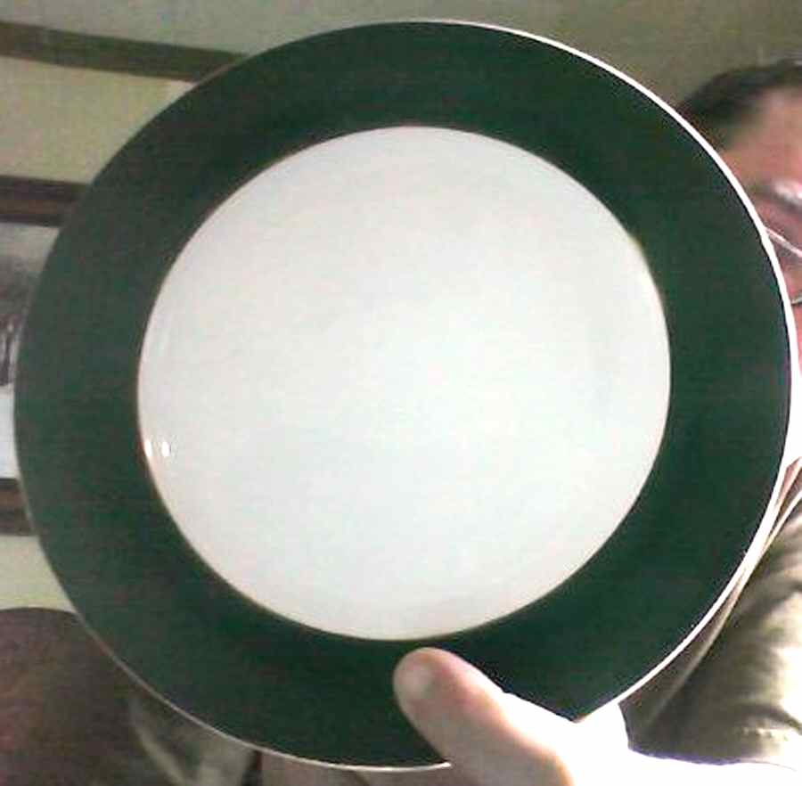WH2 Dinner Plate by Whole Home-1