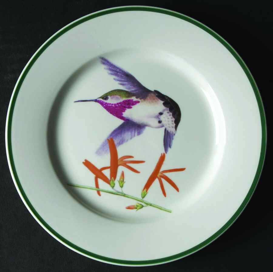 WFE13 Salad Plate by National Wildlife Federation-1