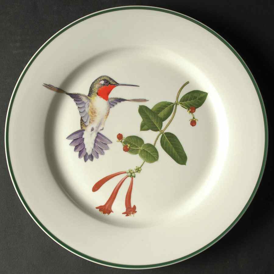 WFE13 Dinner Plate by National Wildlife Federation-1