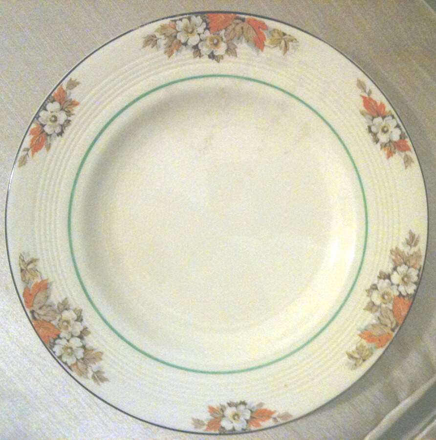 WOO189 Dinner Plate by Wood & Sons-1