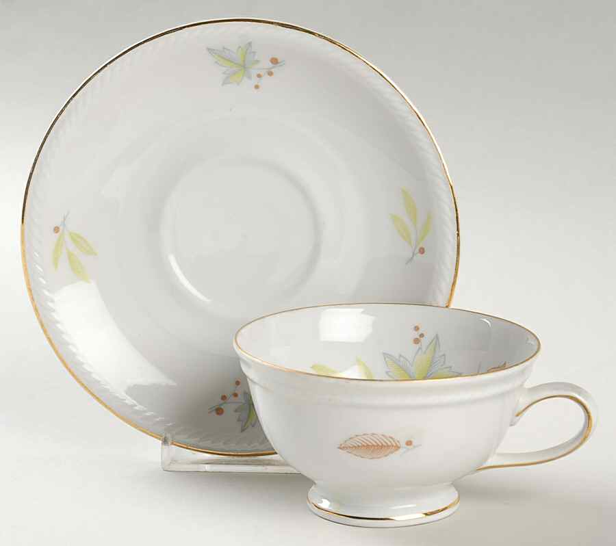 WIG1156 Footed Cup & Saucer Set by Winterling - Bavaria-1