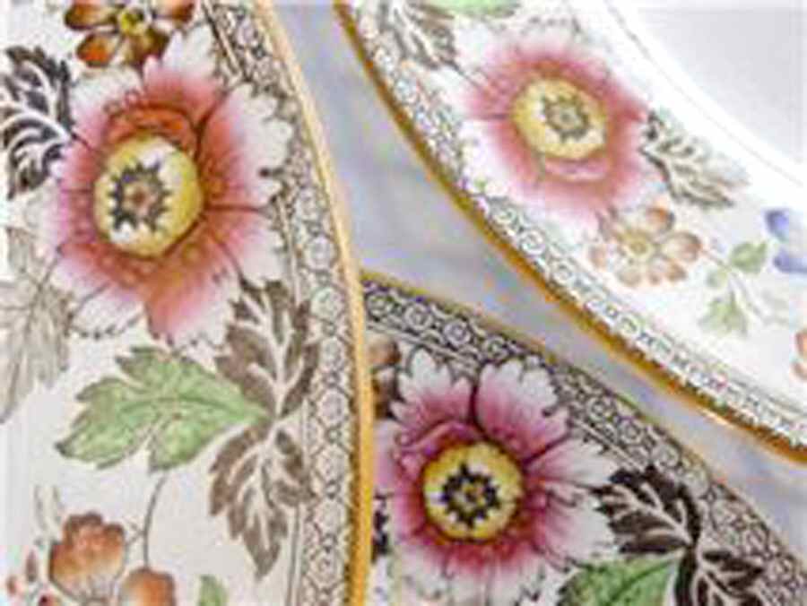 A1743 Dinner Plate by Wedgwood-1