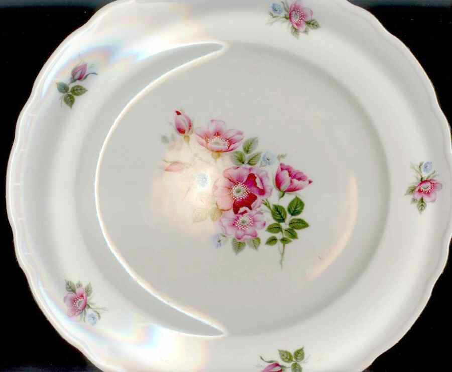 WIG1164 Dinner Plate by Winterling - Bavaria-1