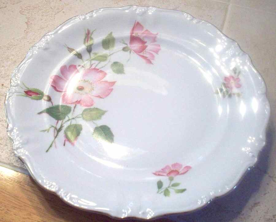 WIG1166 Dinner Plate by Winterling - Bavaria-1
