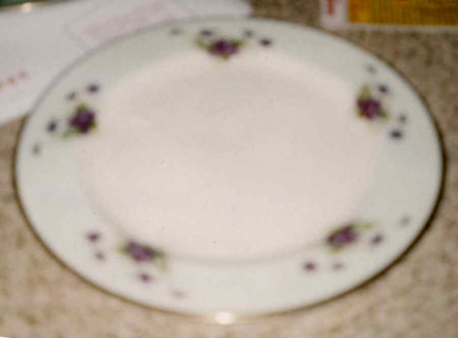 Patrician Dinner Plate by Wentworth-1