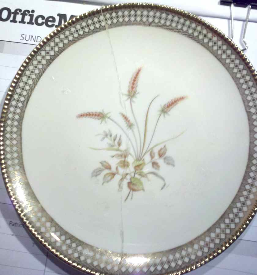 WIG1182 Dinner Plate by Winterling - Bavaria-1