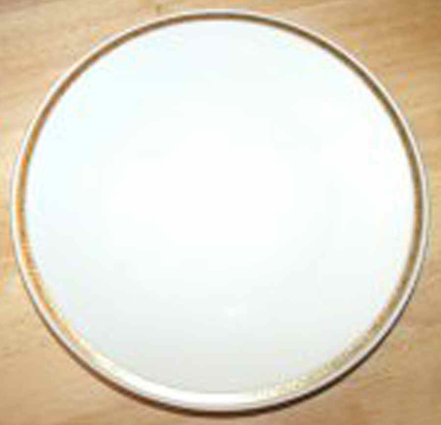 WIG1183 Dinner Plate by Winterling - Bavaria-1