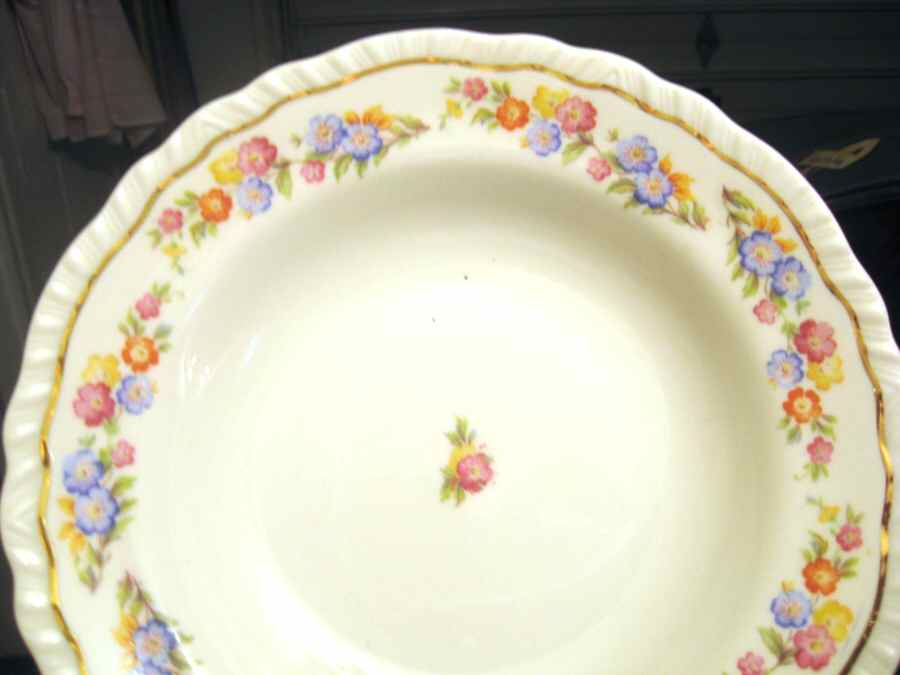 WAR217 Dinner Plate by Warwick-1