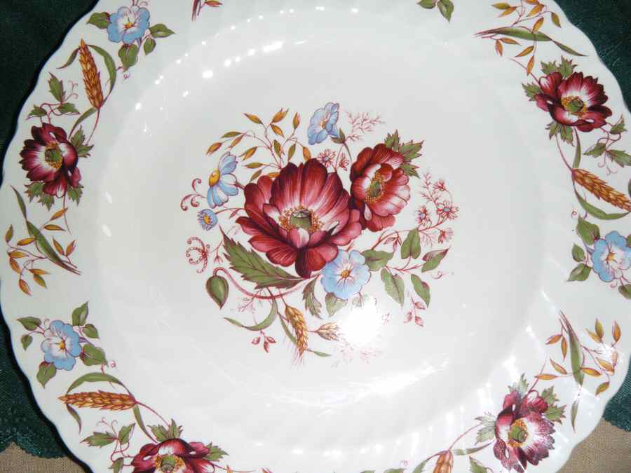 Harvest Dinner Plate by Washington Pottery-1