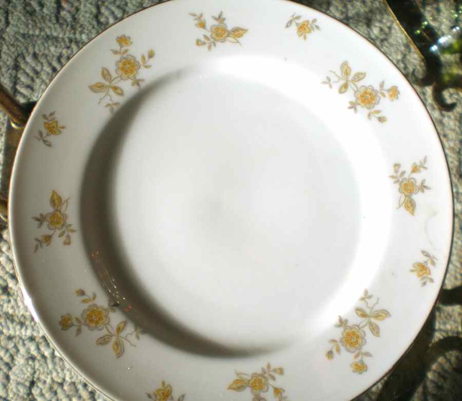 Sun Valley Dinner Plate by Wyndham-1