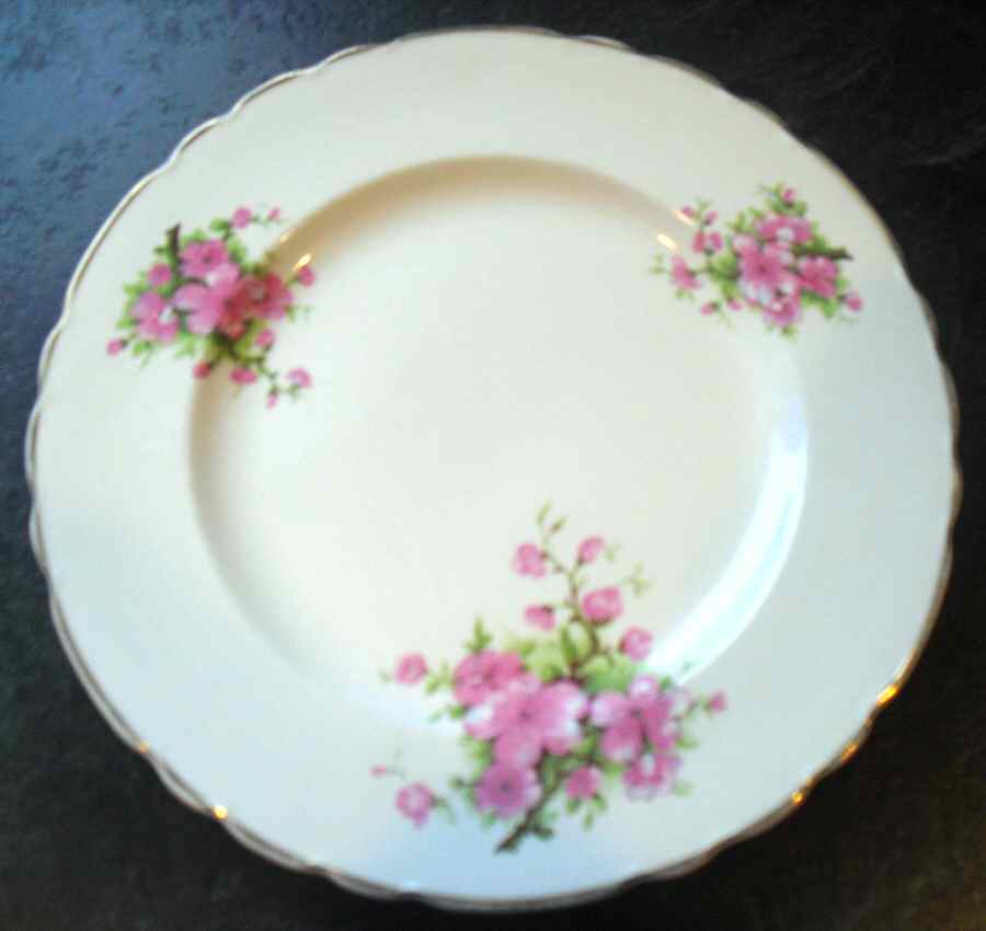 WIL42 Dinner Plate by Arthur J Wilkinson-1