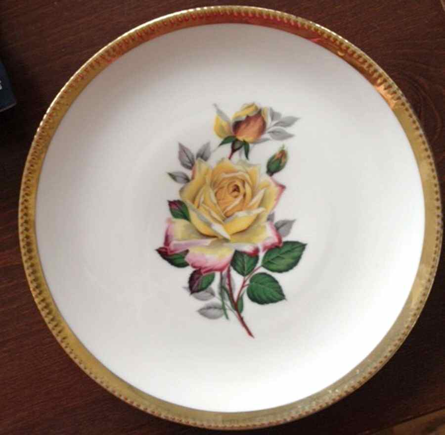 WIG1198 Dinner Plate by Winterling - Bavaria-1