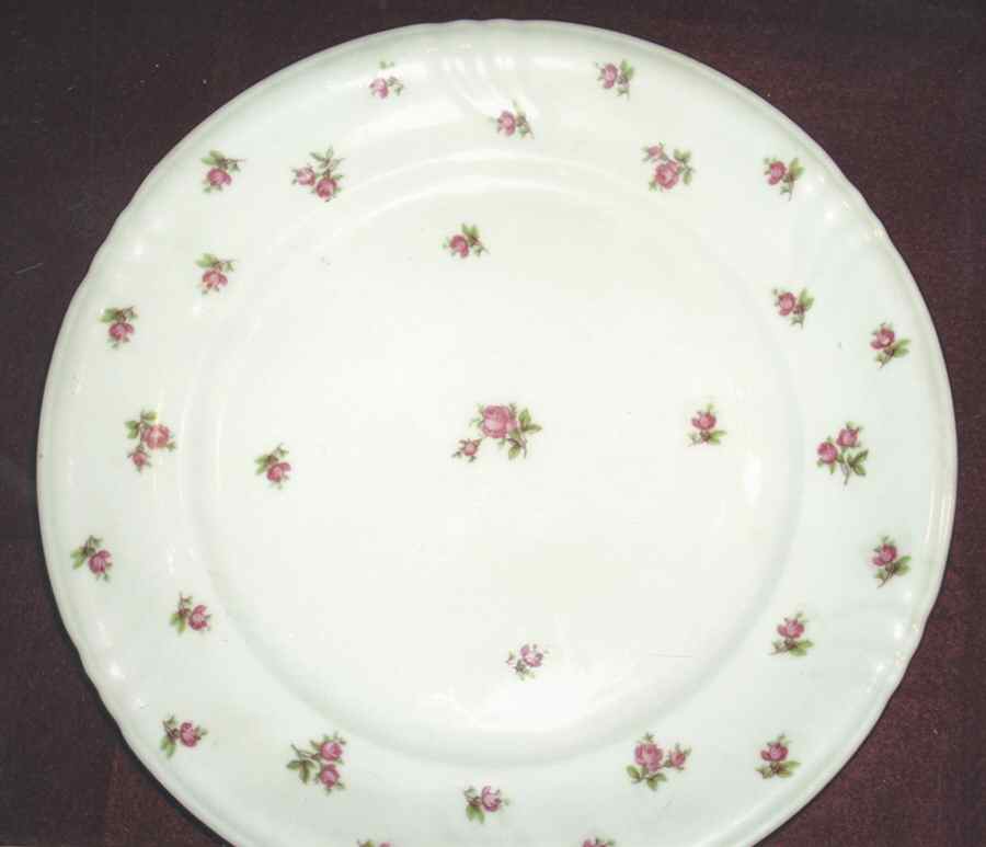 WIG1210 Dinner Plate by Winterling - Bavaria-1