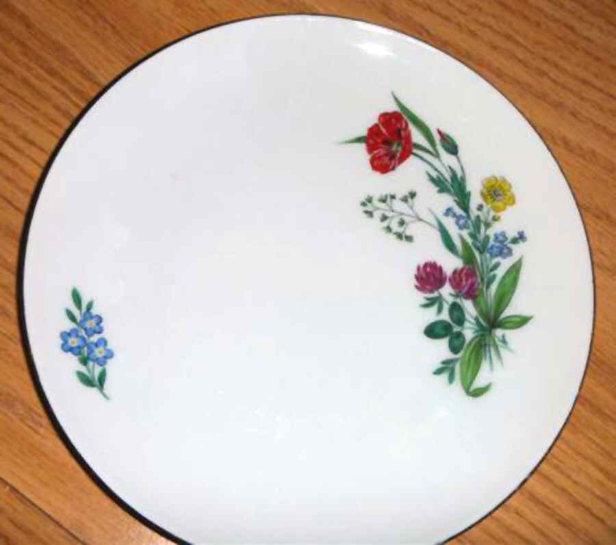 WIG1214 Dinner Plate by Winterling - Bavaria-1