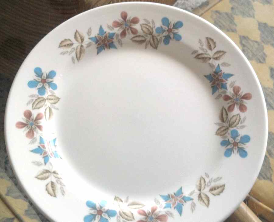 WW565 Dinner Plate by Wedgwood-1