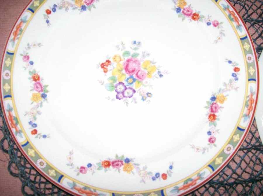 WAR222 Dinner Plate by Warwick-1