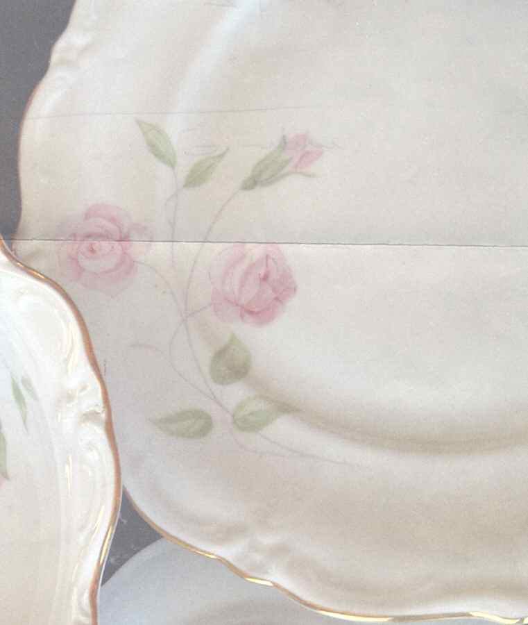 WIG1239 Dinner Plate by Winterling - Bavaria-1