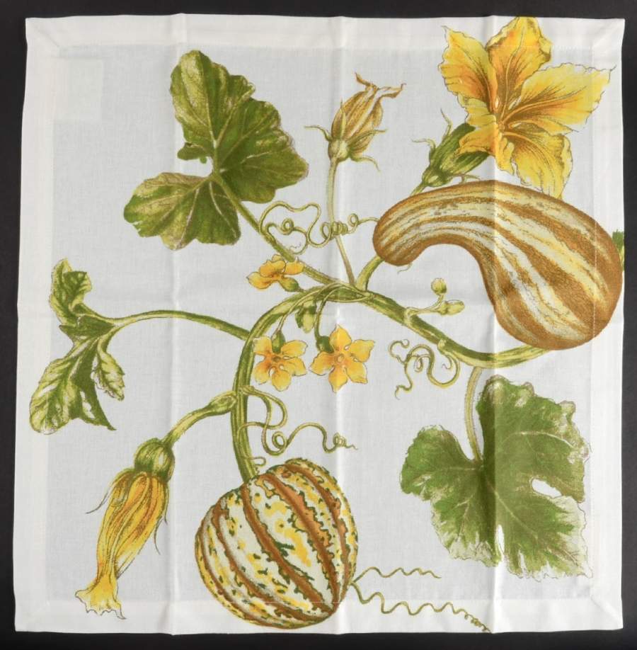 Botanical Pumpkin Cloth Napkin by Williams-Sonoma-1